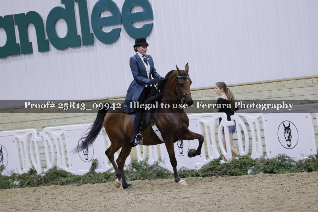 Proof Number 25R13_09942