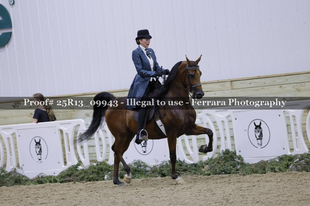 Proof Number 25R13_09943