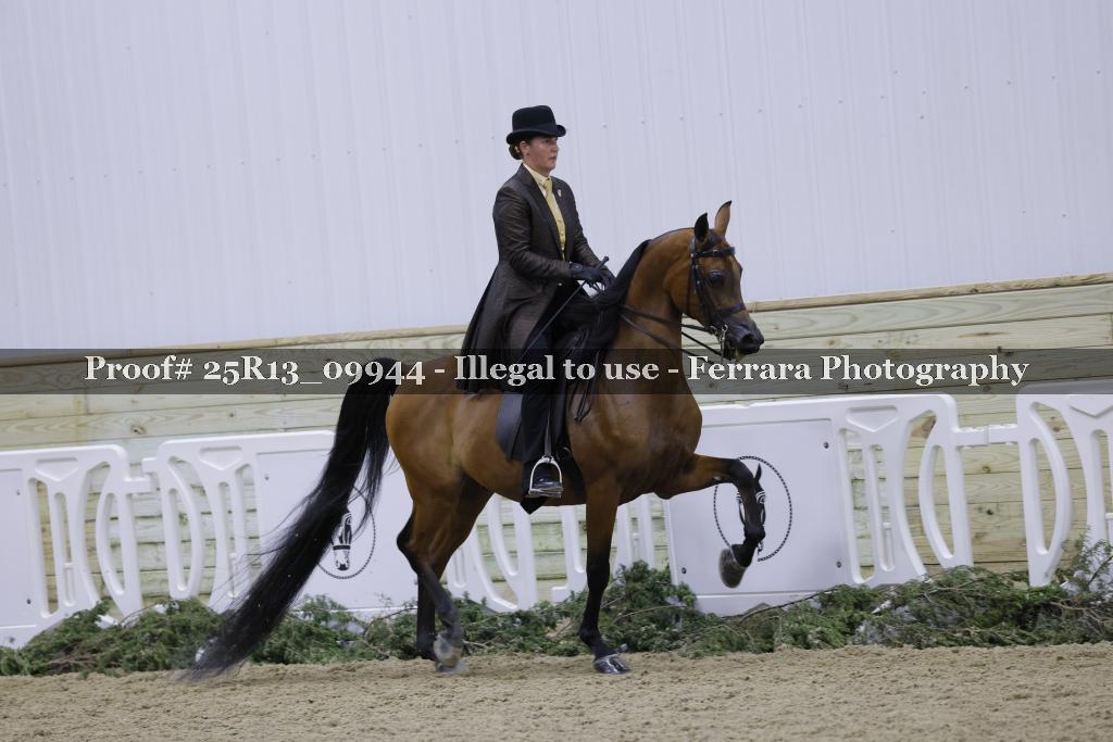 Proof Number 25R13_09944
