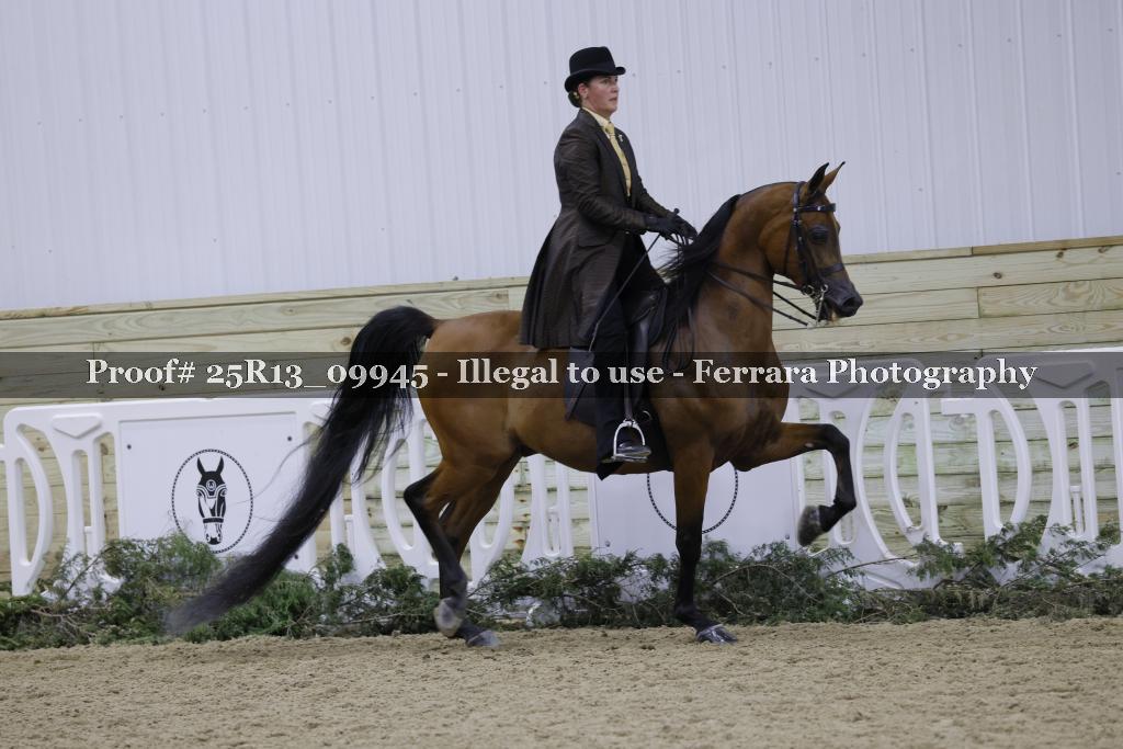 Proof Number 25R13_09945