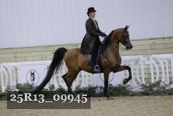 25R13_09945 thumbnail