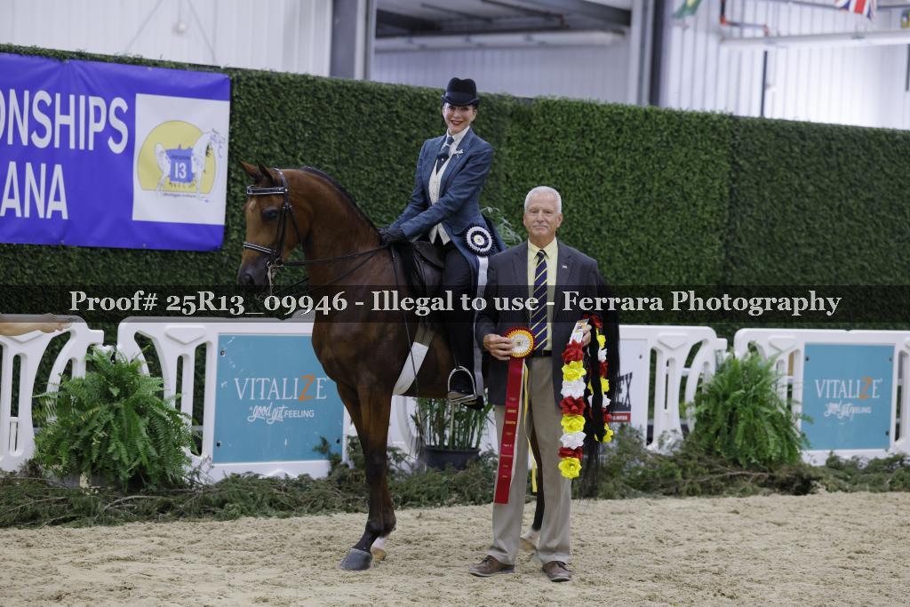 Proof Number 25R13_09946