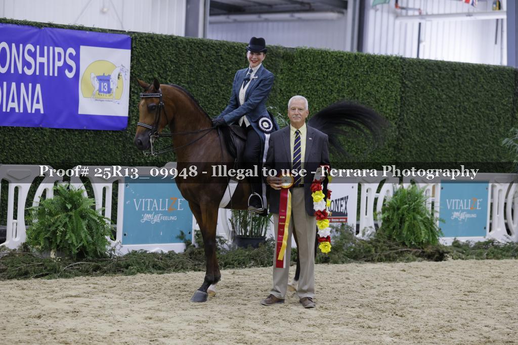 Proof Number 25R13_09948