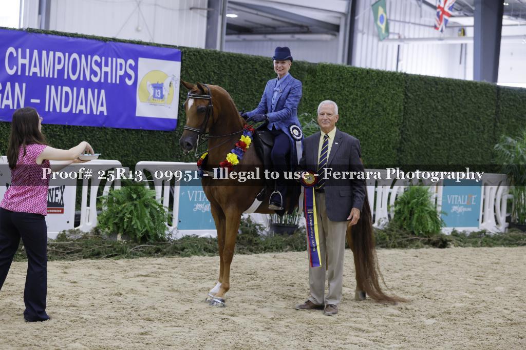 Proof Number 25R13_09951