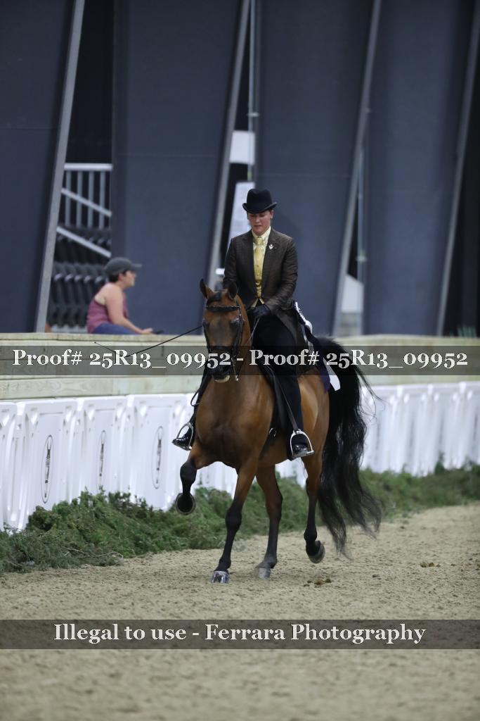 Proof Number 25R13_09952
