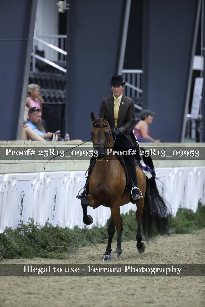 Proof Number 25R13_09953