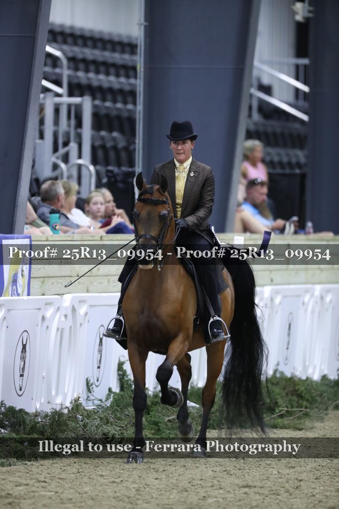 Proof Number 25R13_09954