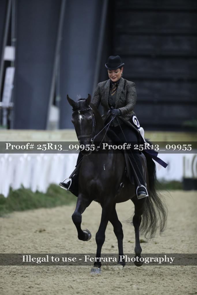 Proof Number 25R13_09955