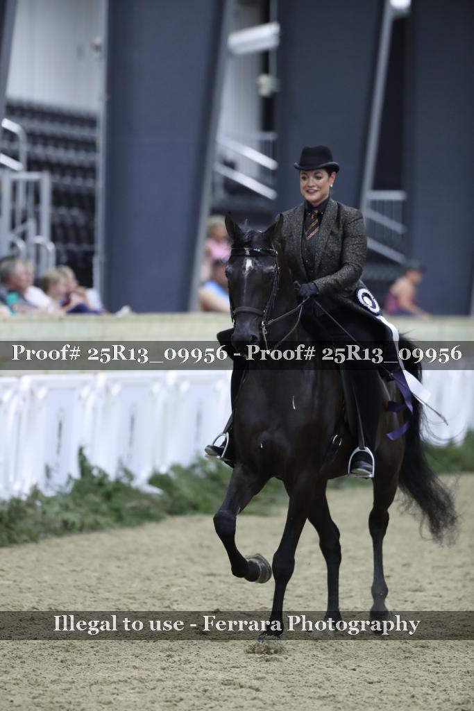 Proof Number 25R13_09956