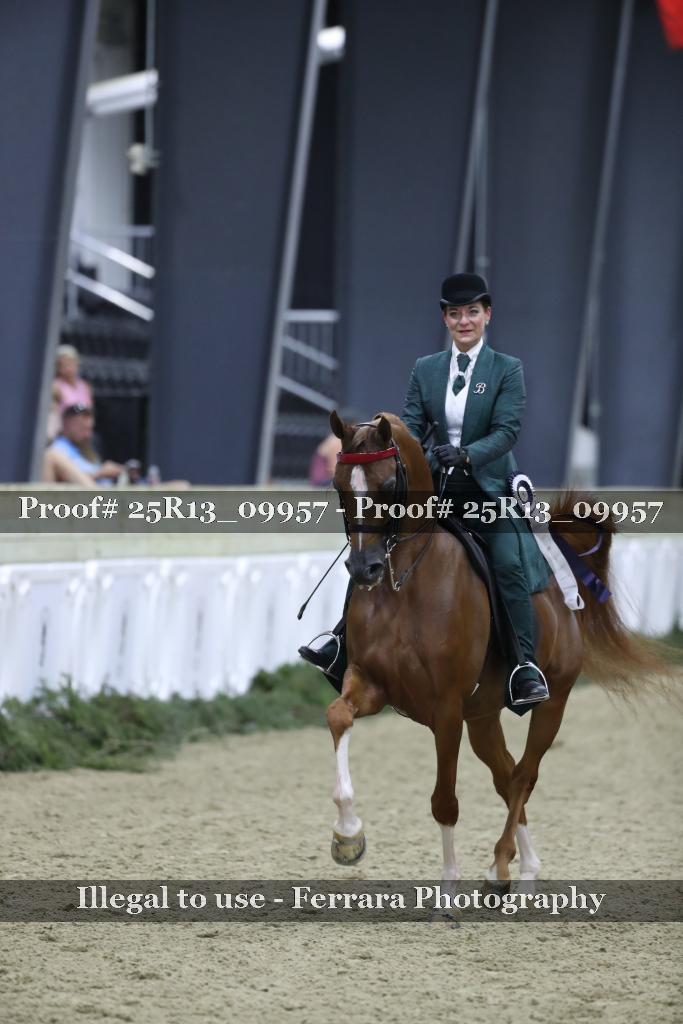 Proof Number 25R13_09957