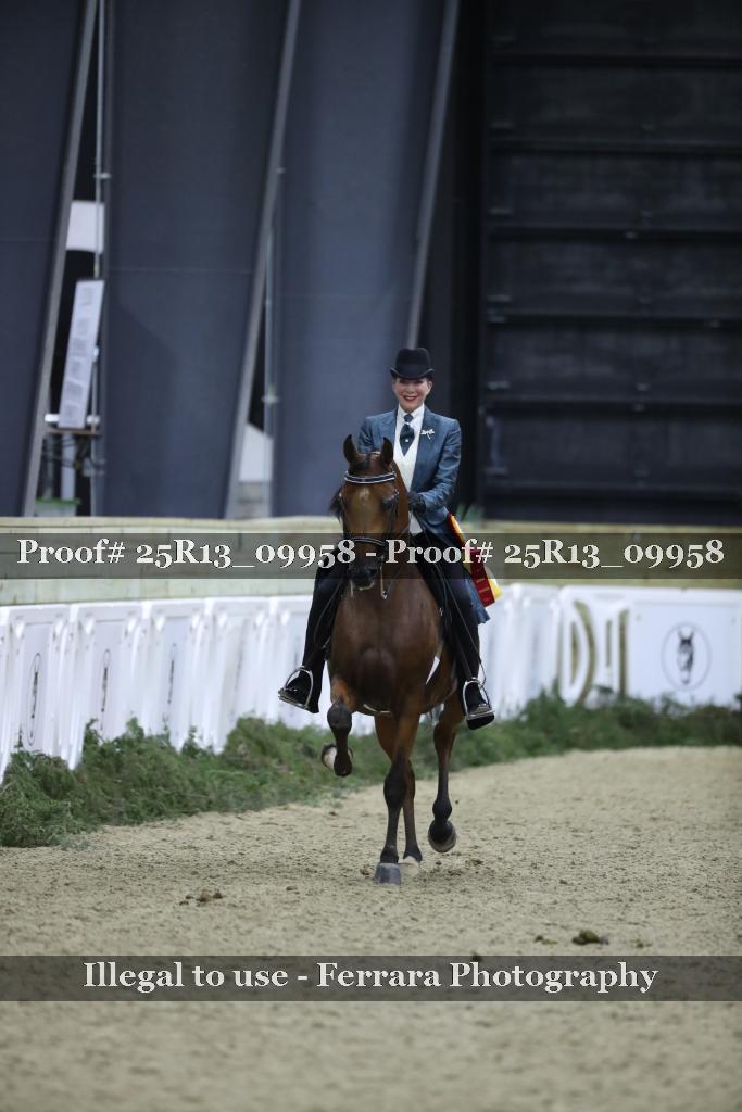 Proof Number 25R13_09958