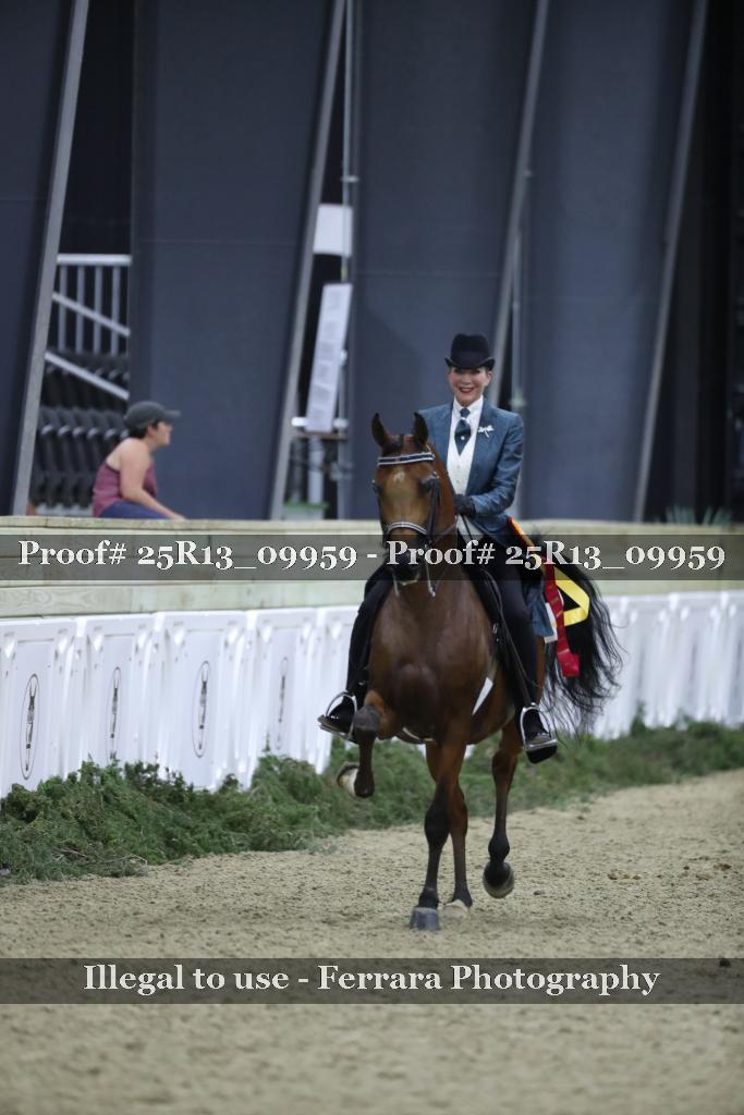Proof Number 25R13_09959