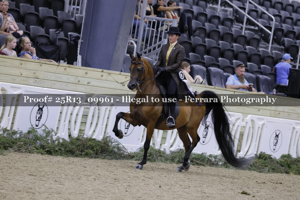 Proof Number 25R13_09961