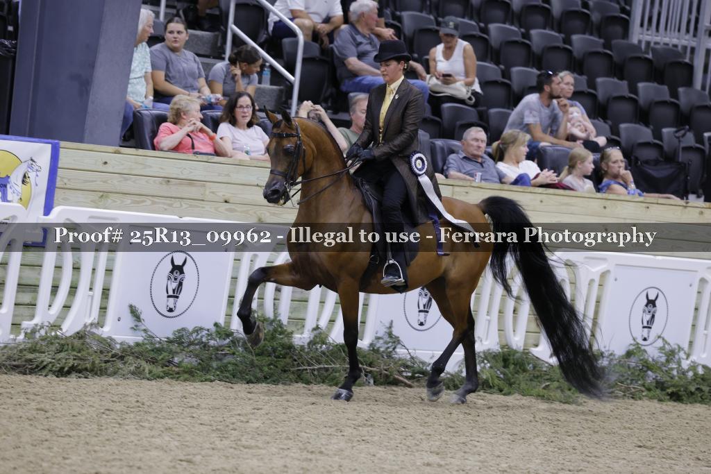 Proof Number 25R13_09962