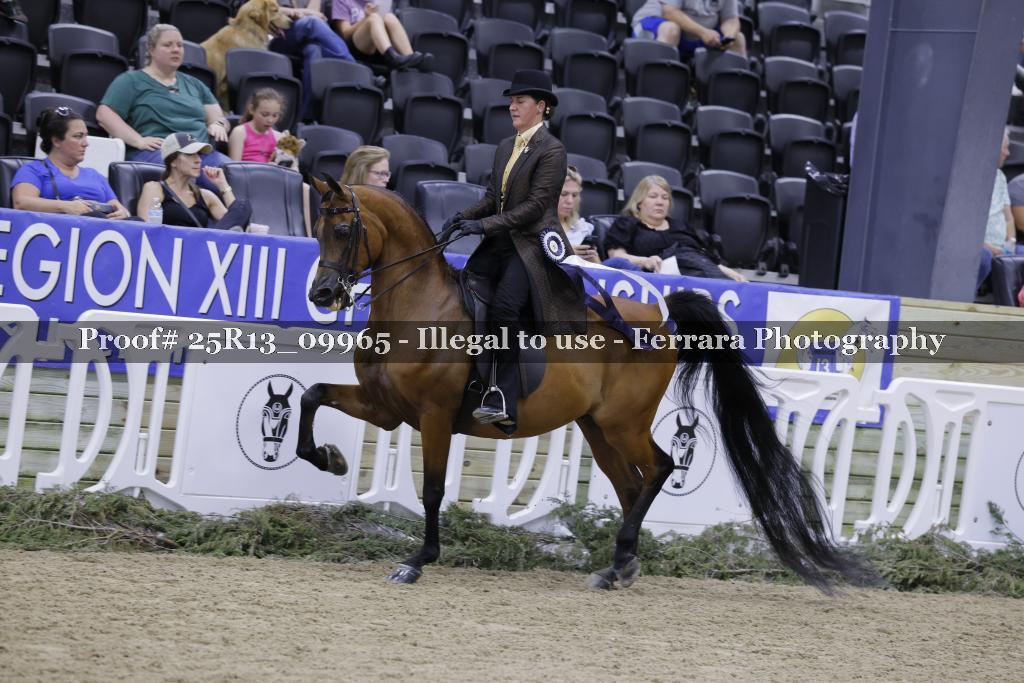Proof Number 25R13_09965