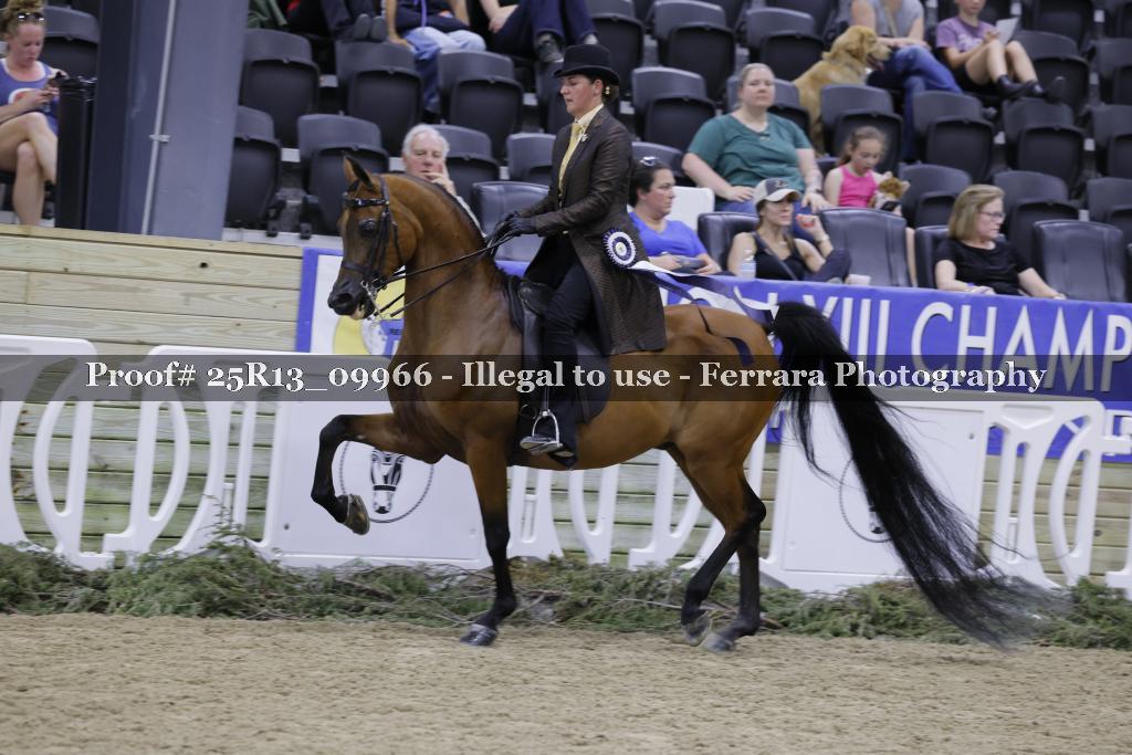 Proof Number 25R13_09966