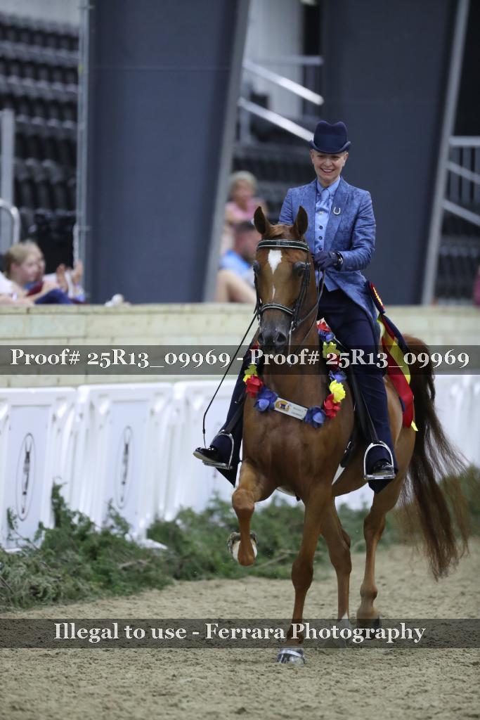 Proof Number 25R13_09969