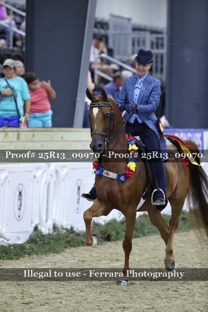 Proof Number 25R13_09970