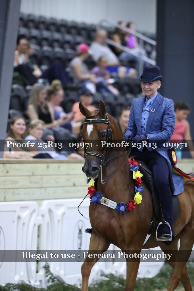 Proof Number 25R13_09971