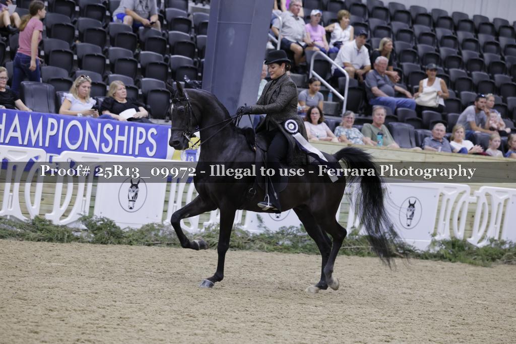 Proof Number 25R13_09972