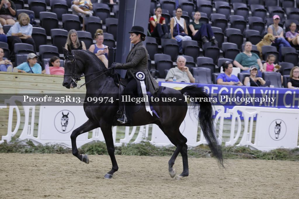 Proof Number 25R13_09974