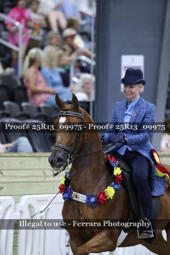 Proof Number 25R13_09975