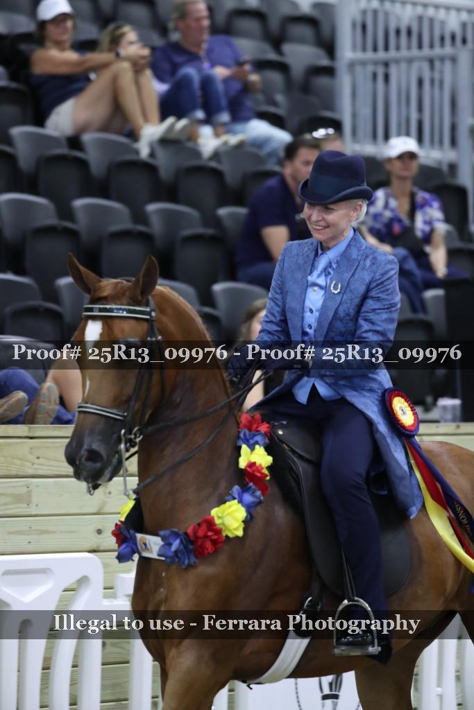 Proof Number 25R13_09976