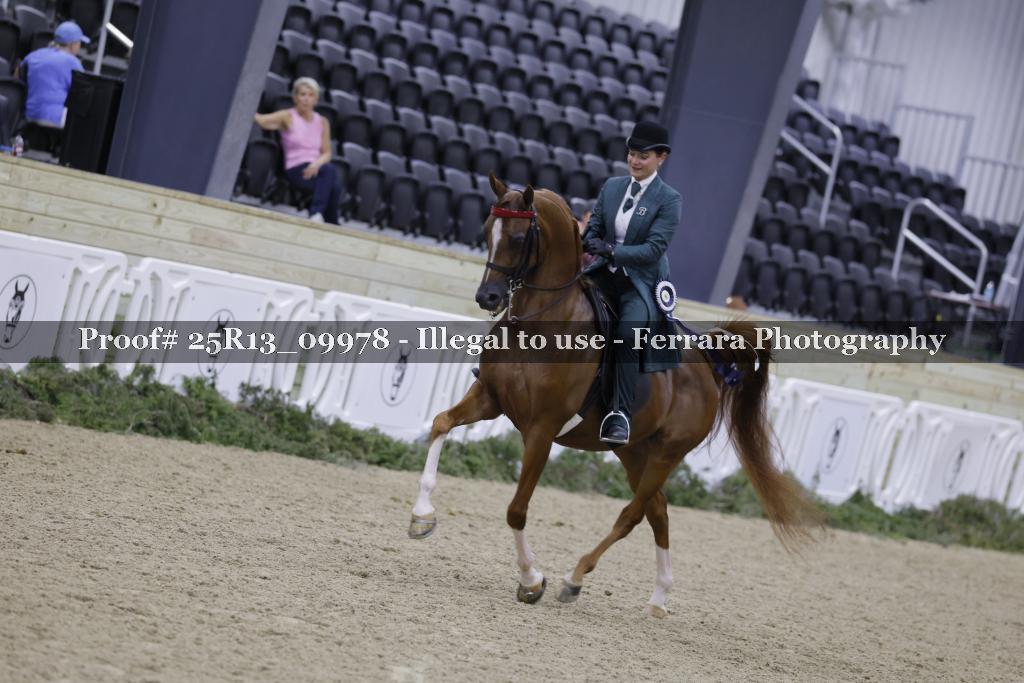 Proof Number 25R13_09978