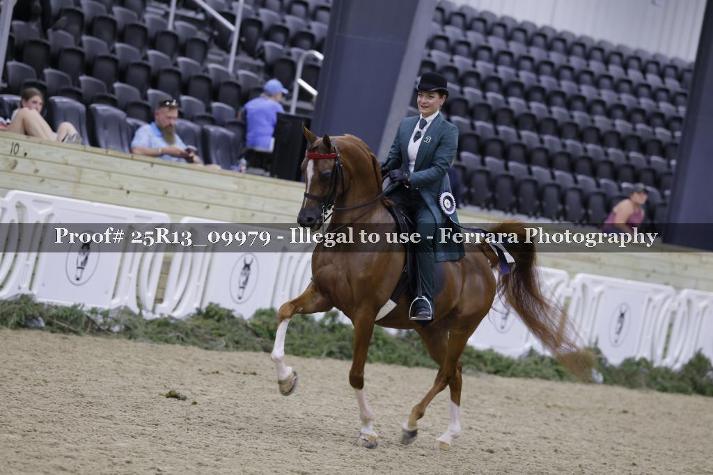 Proof Number 25R13_09979
