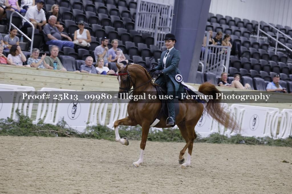 Proof Number 25R13_09980