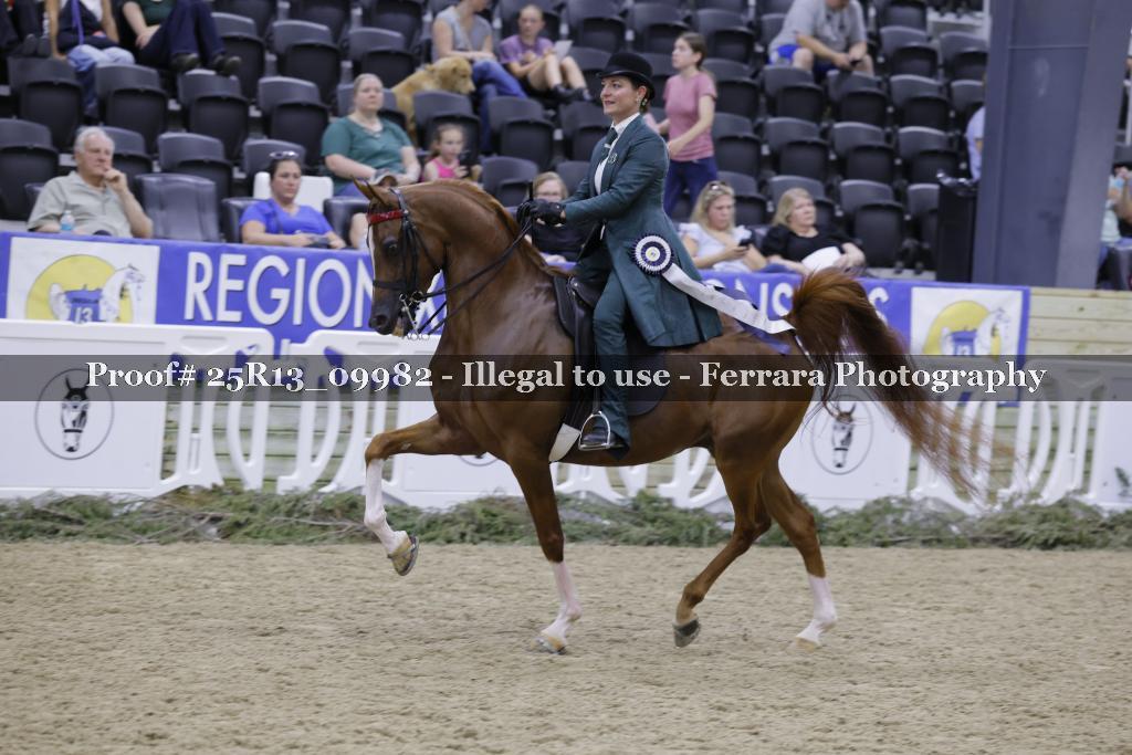Proof Number 25R13_09982