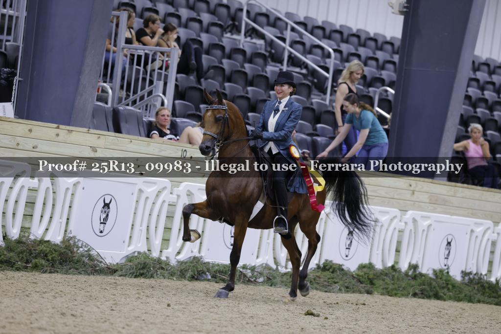 Proof Number 25R13_09983