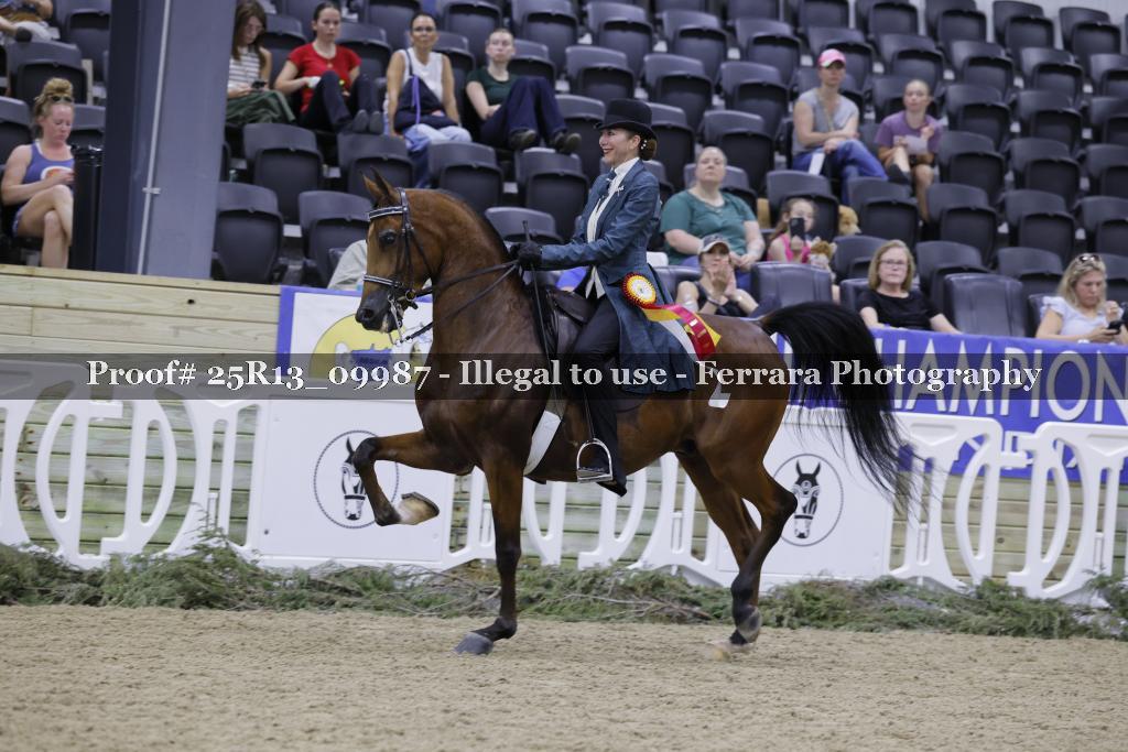 Proof Number 25R13_09987