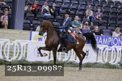 25R13_09987 thumbnail