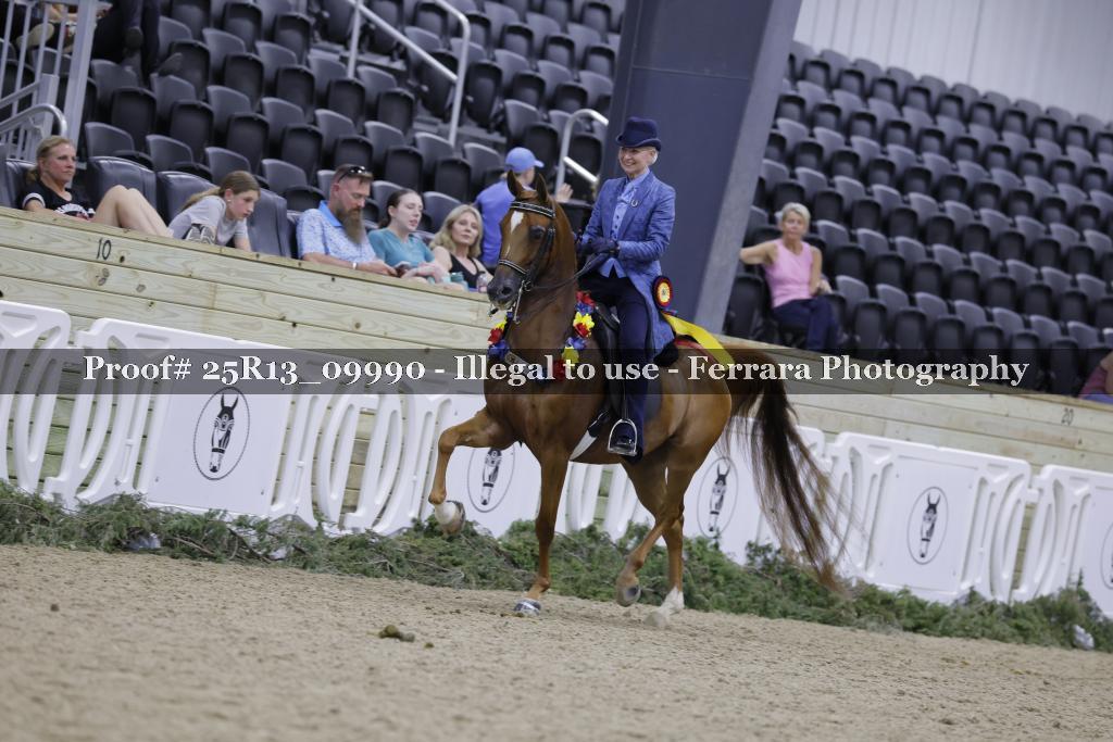 Proof Number 25R13_09990