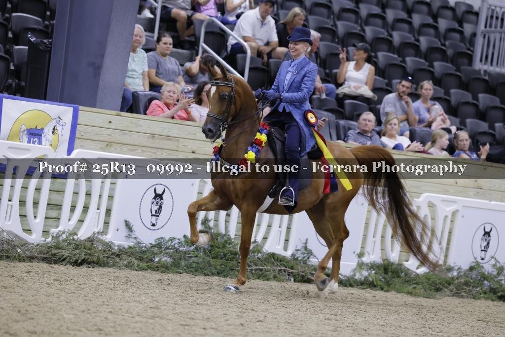 Proof Number 25R13_09992