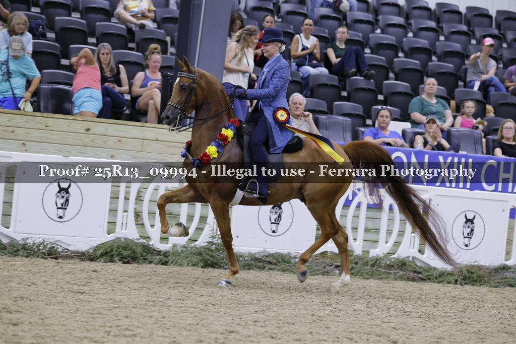 Proof Number 25R13_09994