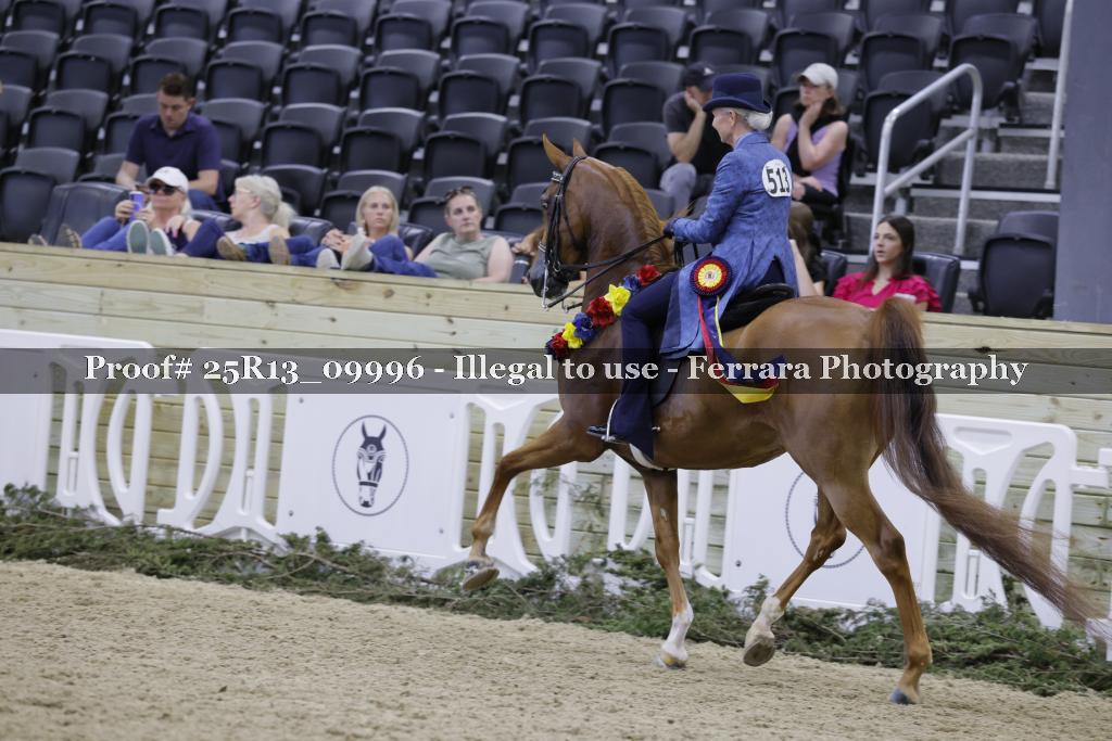 Proof Number 25R13_09996