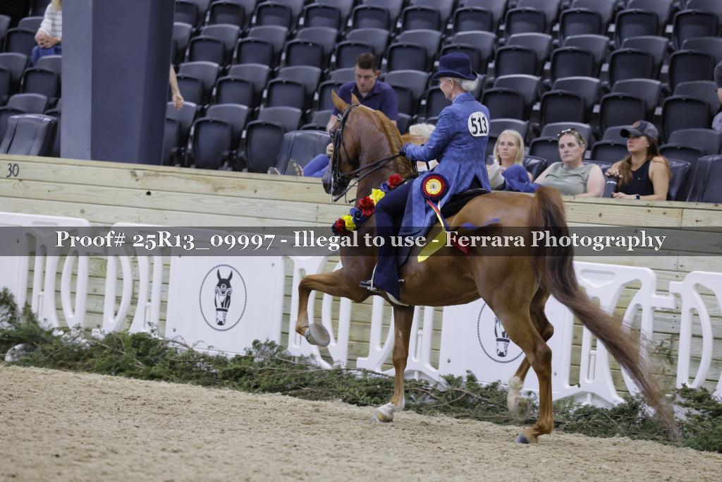 Proof Number 25R13_09997