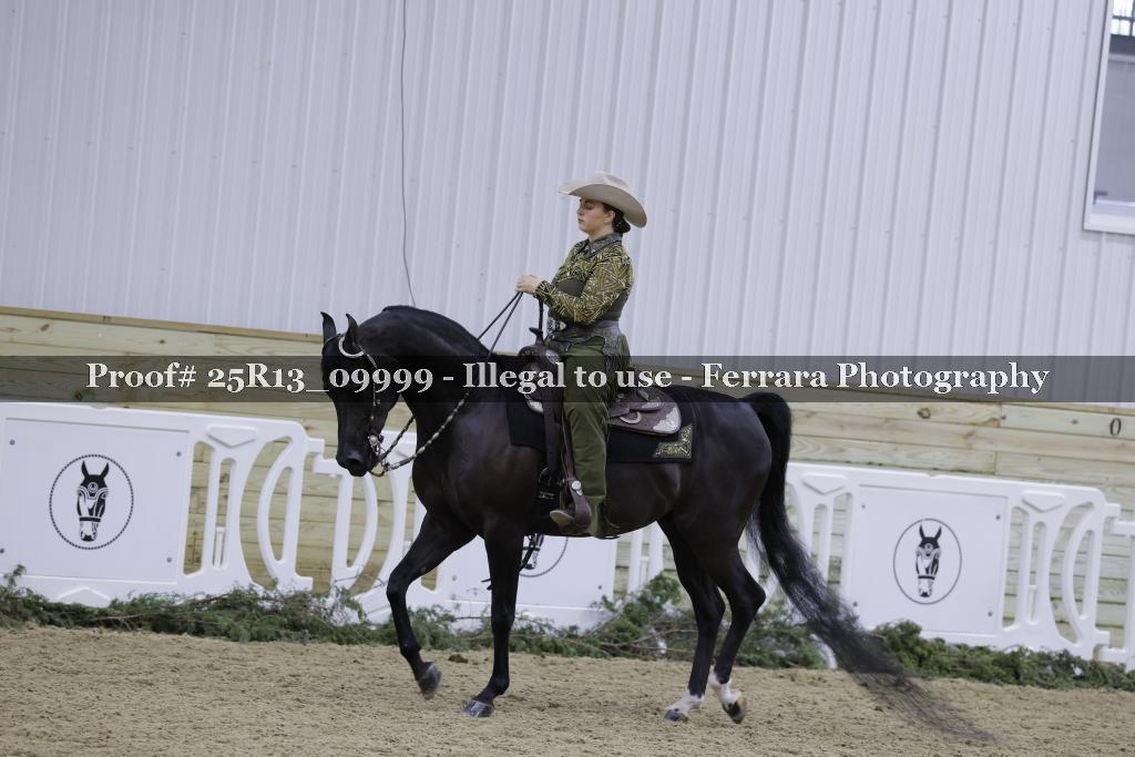 Proof Number 25R13_09999