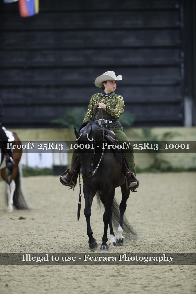 Proof Number 25R13_10001