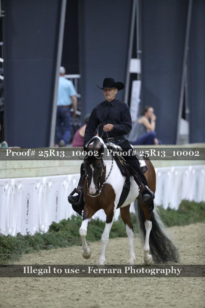 Proof Number 25R13_10002
