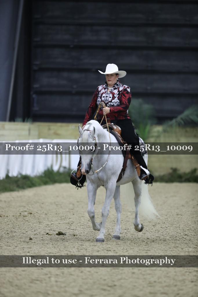 Proof Number 25R13_10009