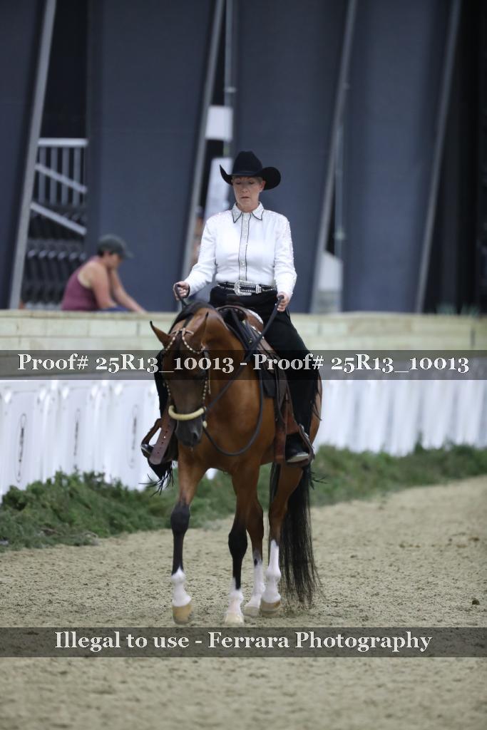 Proof Number 25R13_10013