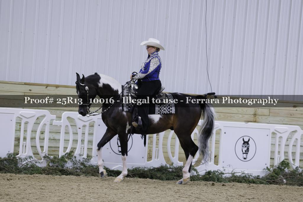 Proof Number 25R13_10016