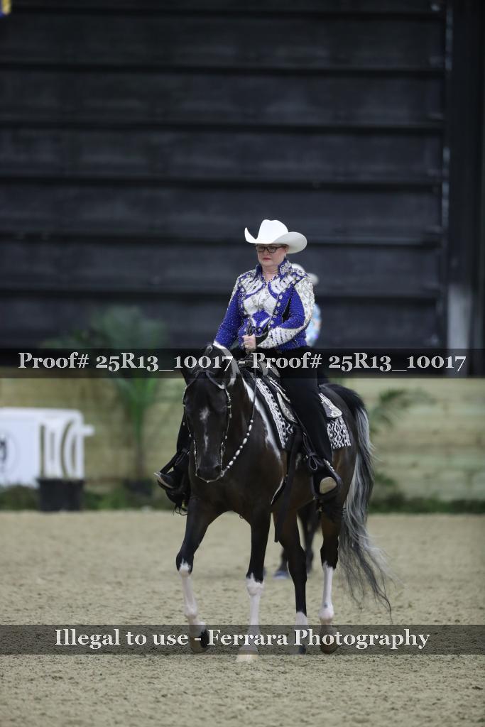 Proof Number 25R13_10017