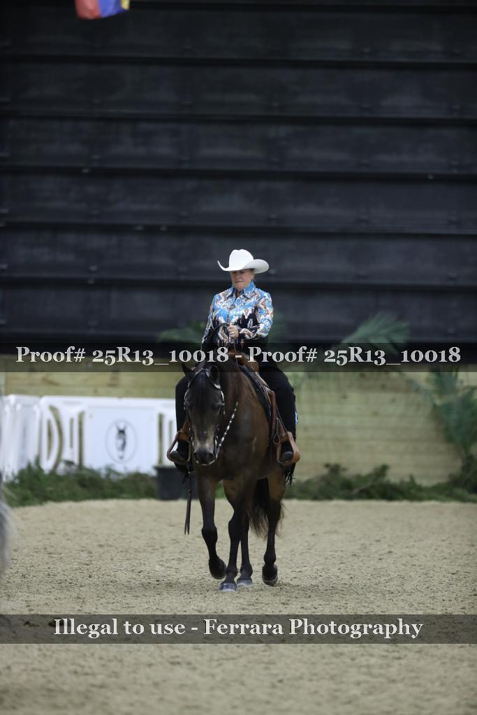 Proof Number 25R13_10018