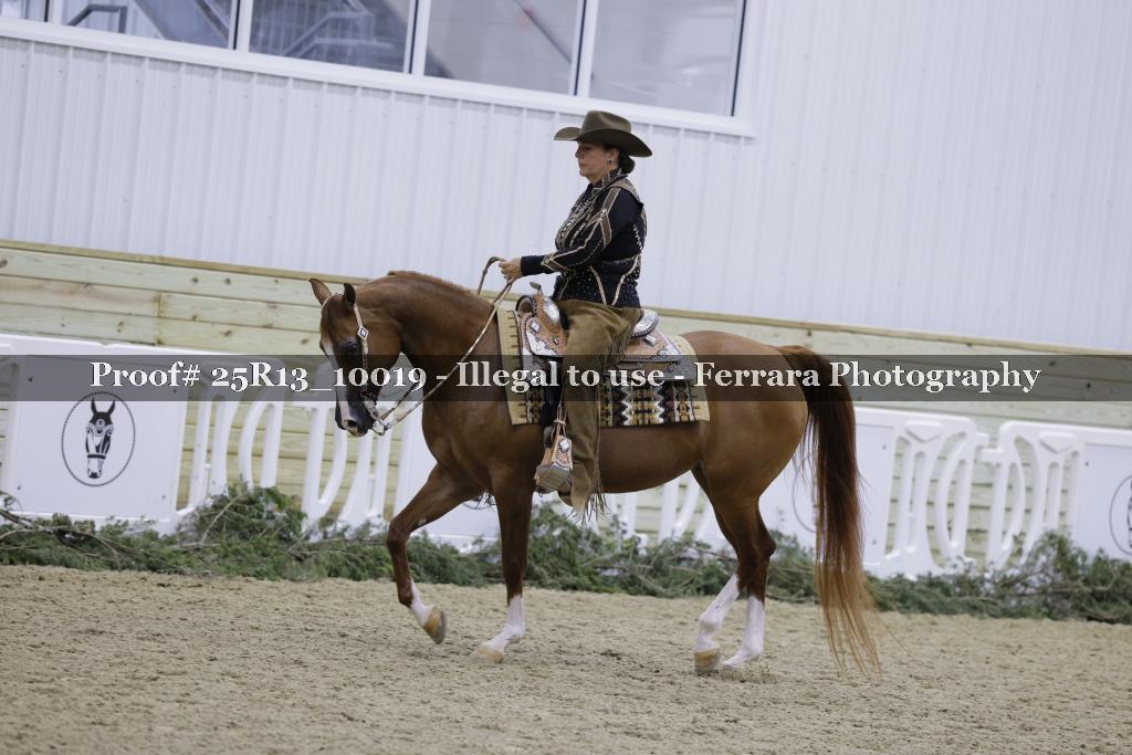 Proof Number 25R13_10019