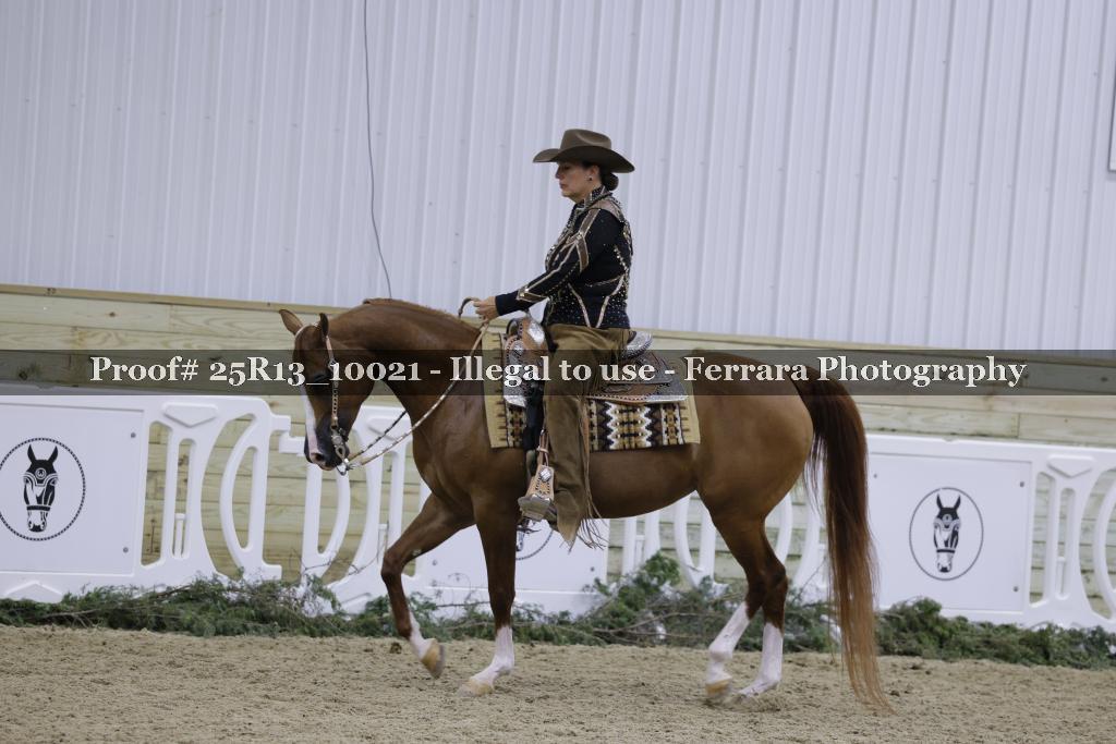 Proof Number 25R13_10021