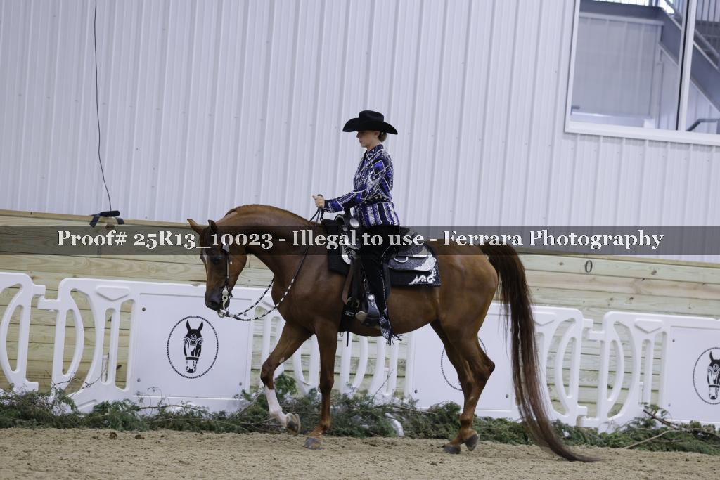 Proof Number 25R13_10023